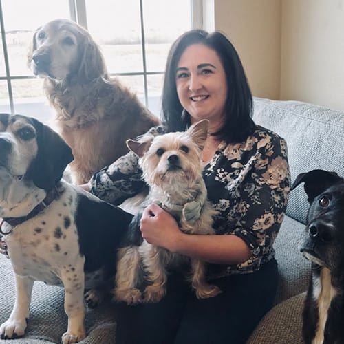 Dr. Jaclyn Collins, Lakewood Veterinarian