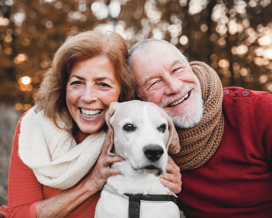 Geriatric Care for Dogs in Lakewood